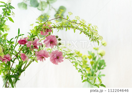 ピンク色のラナンキュラスラックスと小手毬 112204646