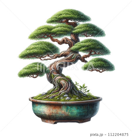 Bonsai clipart watercolor 112204875