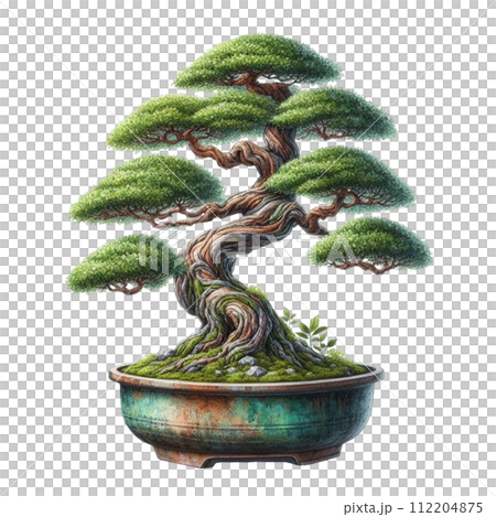 Bonsai clipart watercolor 112204875