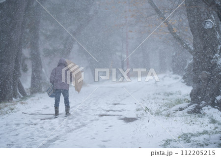 雪の降る道を歩く人 雪の降る道を歩く人 112205215