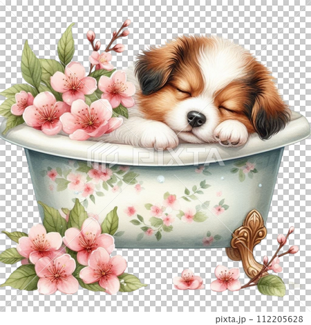 dog sleeping in the bathtub dog sleeping in the bathtub 112205628