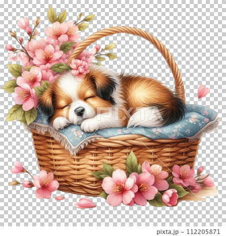 Sleeping dog cherry blossom basket clipart watercolor 112205871