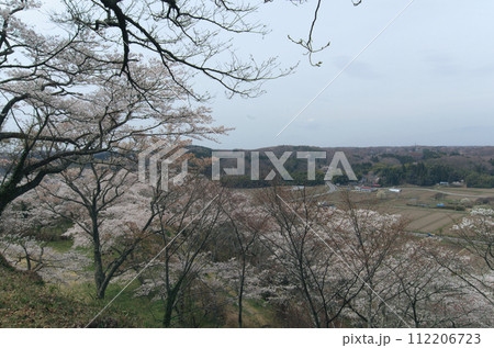 栃木県芦野御殿山から見る那須町 栃木県芦野御殿山から見る那須町 112206723