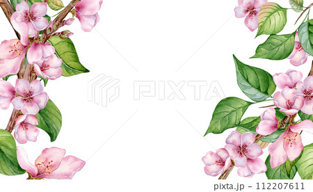Watercolor floral board with pink blooming branch isolated on white. Design template of floral frame with pink white flowers hand drawn. Element for wedding invitation, card, packaging, label product 112207611