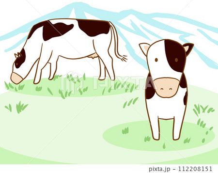 牛 牧場 牛 牧場 112208151