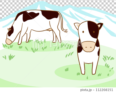 牛 牧場 牛 牧場 112208151