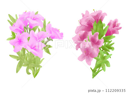 淡いピンクと濃いピンクのツツジの花束 112209335