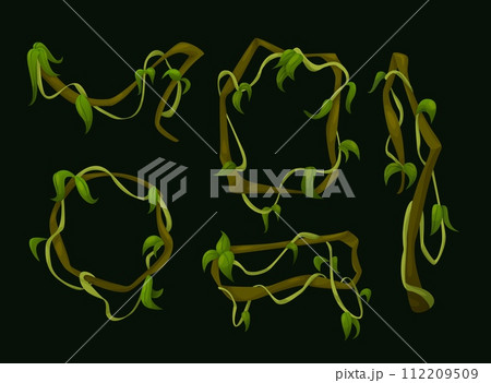 Jungle liana vines with green leaves. Jungle liana vines with green leaves. 112209509