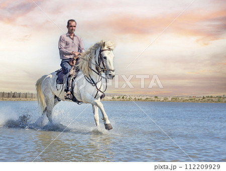 rider and horse on the beach 112209929