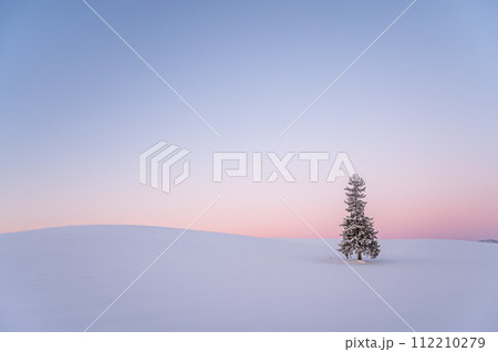 冬の北海道美瑛雪が積もったクリスマスツリーの木 冬の北海道美瑛雪が積もったクリスマスツリーの木 112210279