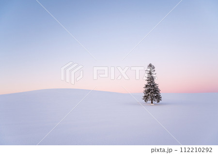 冬の北海道美瑛雪が積もったクリスマスツリーの木 冬の北海道美瑛雪が積もったクリスマスツリーの木 112210292