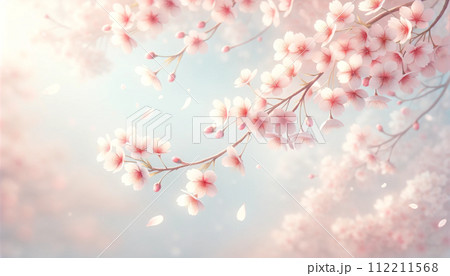 景色 風景 観光 112211568