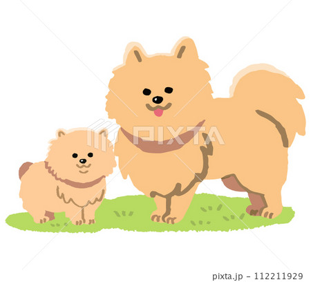 ポメラニアン親子芝生あり（手書きカラー） 112211929