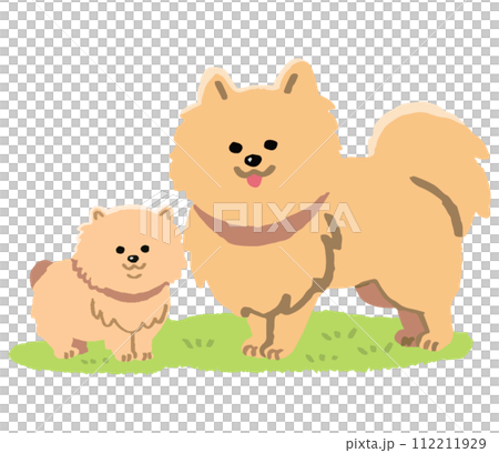 ポメラニアン親子芝生あり（手書きカラー） 112211929