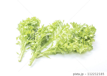 新鮮な野菜 わさび菜 健康野菜 山葵菜 イメージ素材 新鮮な野菜 わさび菜 健康野菜 山葵菜 イメージ素材 112212185