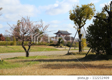 平城宮跡【 二条大路からの大極殿】 ／ 奈良市 112212409