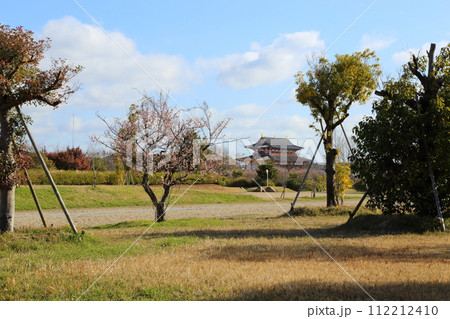 平城宮跡【 二条大路からの大極殿 】 ／ 奈良市 112212410