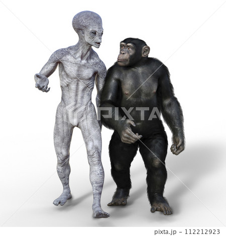 Humanoid alien and chimpanzee monkey Humanoid alien and chimpanzee monkey 112212923
