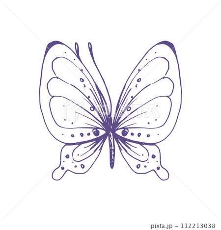 Delicate butterfly with patterns on the wings, simple, sweet, light, romantic. Illustration graphically hand-drawn in lilac ink in line style. Isolated EPS vector object 112213038