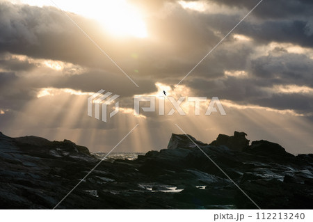 千葉県銚子市 犬吠埼の日の出 千葉県銚子市 犬吠埼の日の出 112213240