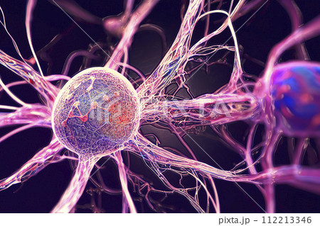 Neurons, brain cells, neural network, 3D illustration 112213346