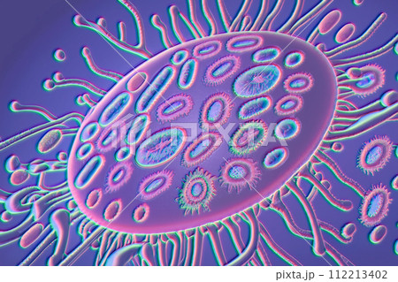 Beautiful microworld, microbes of different shapes, illustration Beautiful microworld, microbes of different shapes, illustration 112213402