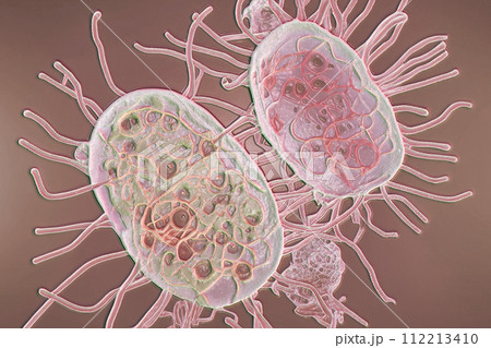 Beautiful microworld, microbes of different shapes, illustration 112213410