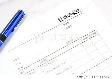 人員配置や昇進・昇給などで使用する「社員評価表」を書く 112213785