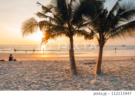 Palm trees on beach against sky during sunset Palm trees on beach against sky during sunset 112213947