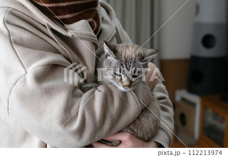 ネコを抱く 112213974