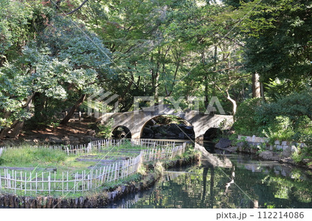 東京都港区南麻布の有栖川宮記念公園の風景 112214086