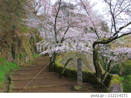 春の岡城址(国指定史跡・竹田市) 春の岡城址(国指定史跡・竹田市) 112214271