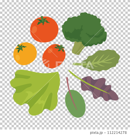 サラダのイメージイラスト 112214278