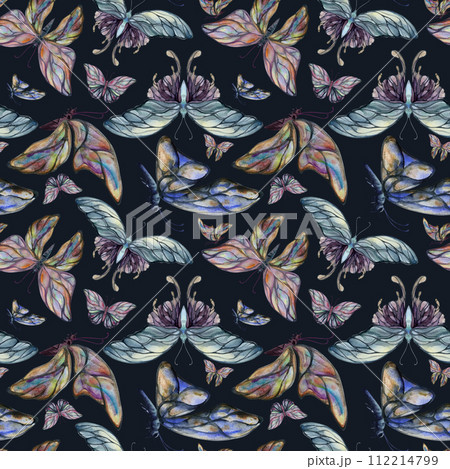 Hand drawn watercolor illustration butterfly fairy wings gem crystal insect moth. Amethyst emerald fluorite moonstone. Seamless pattern isolated dark background. Design print, shop, wedding, package. 112214799
