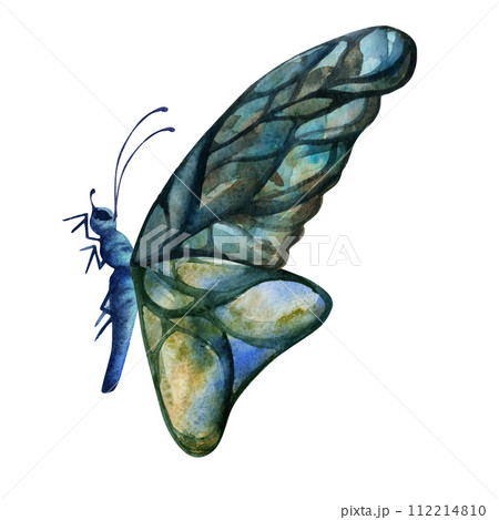 Hand drawn watercolor illustration butterfly fairy wings gem crystal insect moth. Sapphire emerald labradorite larimar. Single object isolated on white background. Design print shop, wedding, birthday 112214810