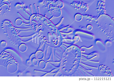 Beautiful microworld, microbes of different shapes, 3D illustration 112215121