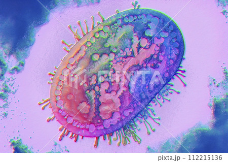 Beautiful microworld, microbes of different shapes, 3D illustration 112215136