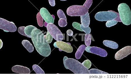 Bacteria Aggregatibacter, illustration Bacteria Aggregatibacter, illustration 112215697