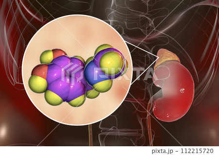 Epinephrine hormone produced by adrenal gland 112215720