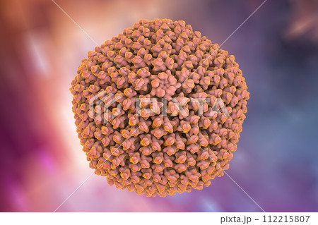 Adenovirus, a virus which cause respiratory infections 112215807