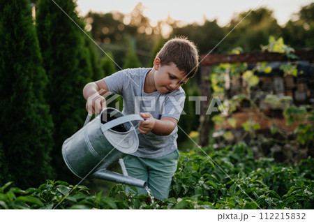 Boy watering raised garden bed, holding metal watering can. Caring for vegetable garden and growing, planting spring vegetables. 112215832