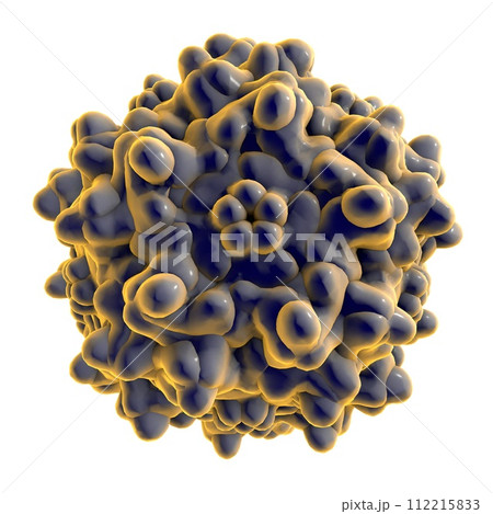 Adeno-associated virus, 3D illustration 112215833