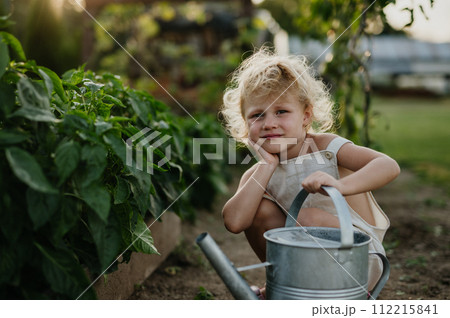 Little girl squatting by raised garden bed, holding metal watering can. Caring for vegetable garden and growing, planting spring vegetables. 112215841
