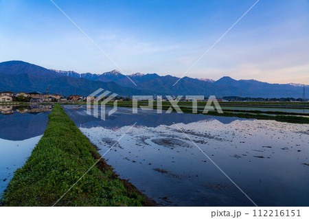 【初夏素材】初夏の安曇野・朝の田園風景【長野県】 112216151