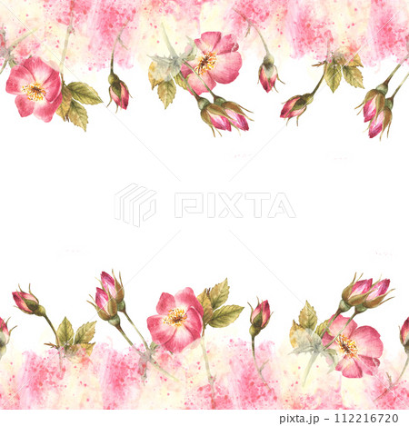 Wild rose hip buds, leaves, dog, cancer or brier rose flowers im bloom seamless border frame on watercolor pink yellow spots, splashes background Wrapping, wallpaper Hand drawn illustration isolated 112216720