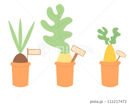 Growing plants. Gardening element isolated on white background. Spring horticulture. Sapling and seeding in a pot. Vector flat illustration 112217472