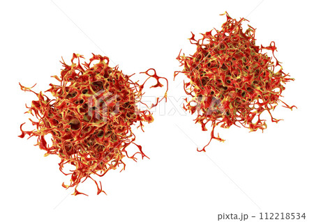 Cancer cell, malignant tumor cell 112218534