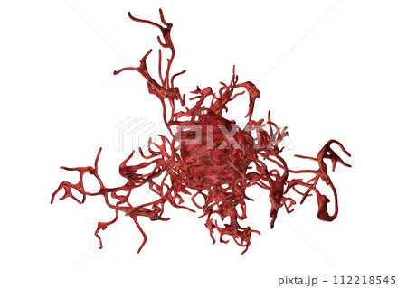 Human parasitic amoeba with pseudopodia 112218545