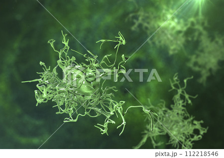 Human parasitic amoeba with pseudopodia 112218546