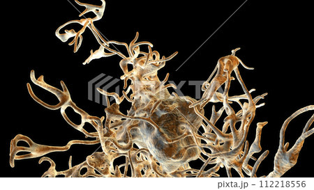 Human parasitic amoeba with pseudopodia Human parasitic amoeba with pseudopodia 112218556